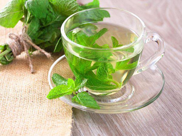 صادرات انواع دمنوش نعناع