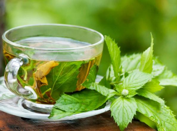 مرجع خرید چایی سبز