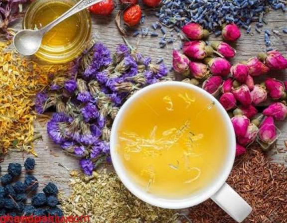 تولید انواع دمنوش گیاهی بهارنارنج ارزان