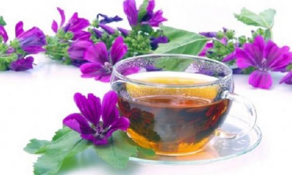 فروشنده ویژه دمنوش گیاهی پنیرک