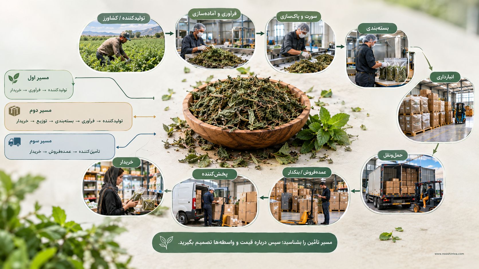 خرید دمنوش نعناع بدون واسطه و بررسی مسیر تأمین محصول