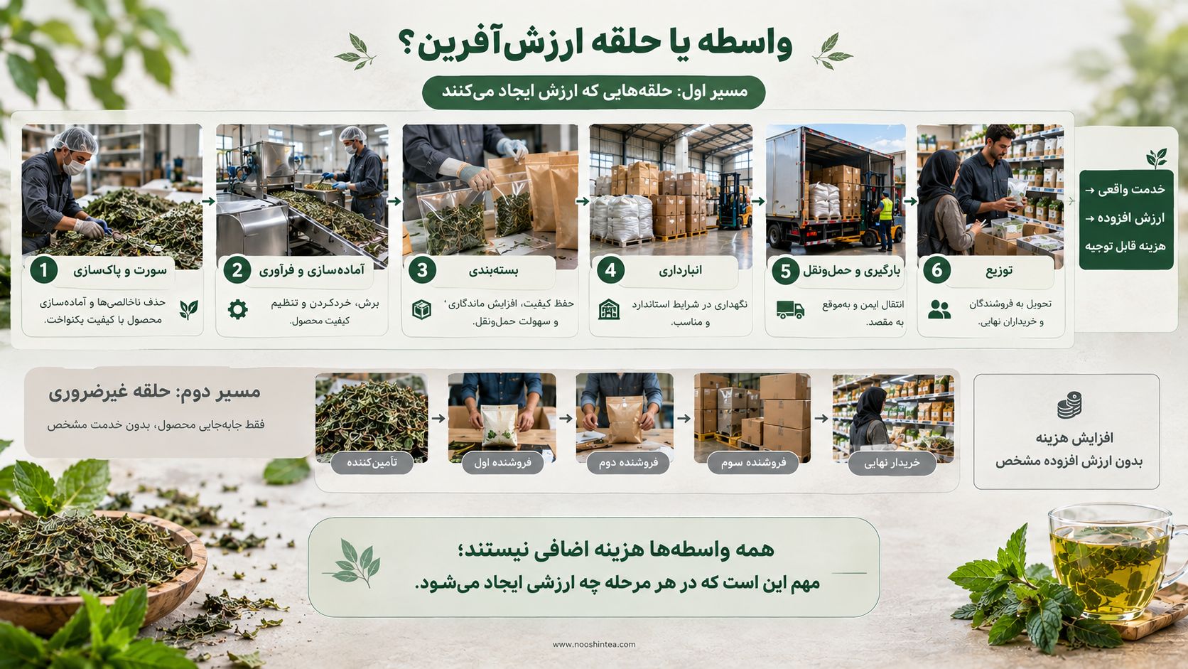 نقش واسطه و ارزش افزوده در زنجیره تأمین نعناع