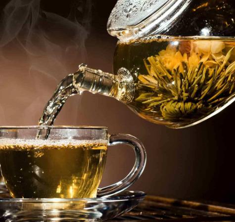 مراکز فروش د دمنوش رازیانه