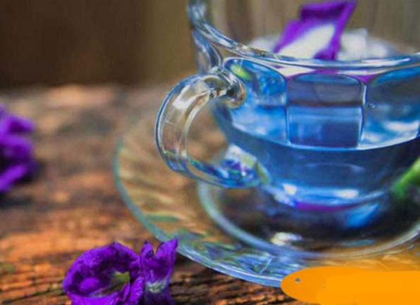 7 خاصیت مهم دمنوش گل گاو زبان