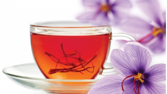 صادرات انواع دمنوش گیاهی پنیرک