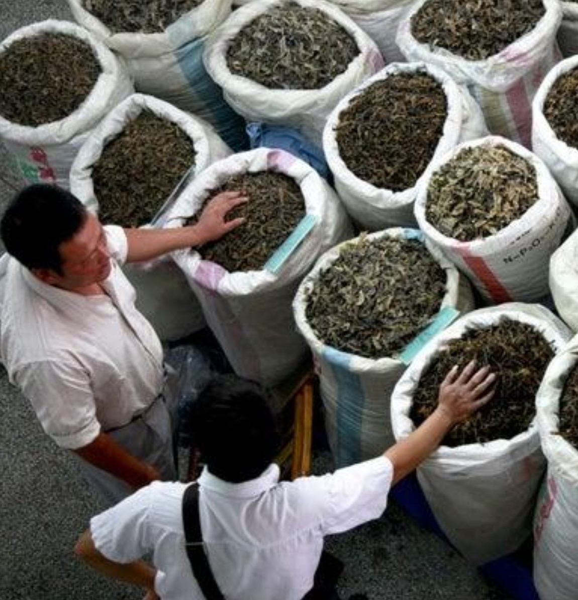 دو نفر در بازار در حال بررسی و انتخاب محصولات گیاهی