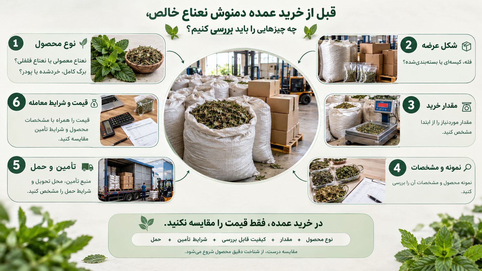 مراحل بررسی نوع محصول، مقدار، مشخصات و شرایط تأمین در خرید عمده نعناع