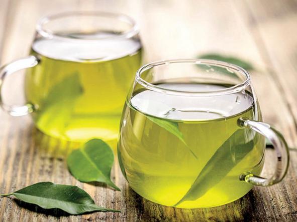 فروشنده انواع چای سبز ارزان